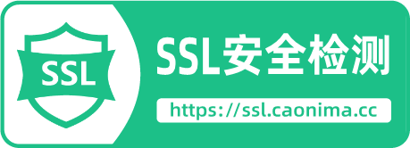 SSL certificate security check